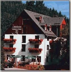 Landhotel Osterlamm Gruenhain-Beierfeld ภายนอก รูปภาพ